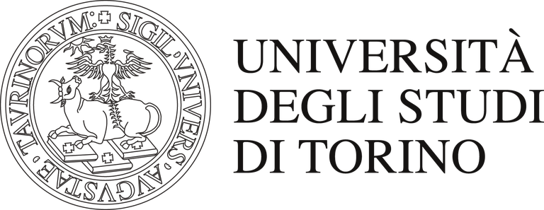 UniTo-universita-di-torino.png