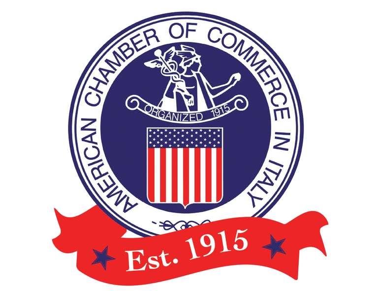 LOGO Camera di commercio USA.PNG