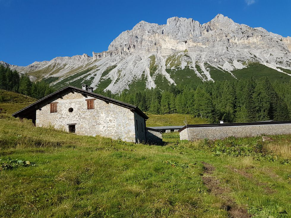 MASTER DI I LIVELLO IN INNOVAZIONE DEI SISTEMI AGROSILVOPASTORALI DELLA MONTAGNA. IMPRESE E TERRITORI