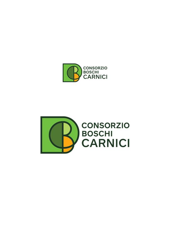 7_Consorzio-Boschi-Carnici_LOGO_page-0001.jpg