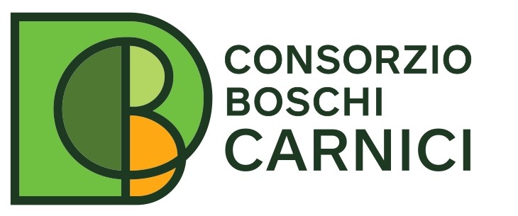 7_Consorzio-Boschi-Carnici_LOGO_page-0001_singolo.jpg
