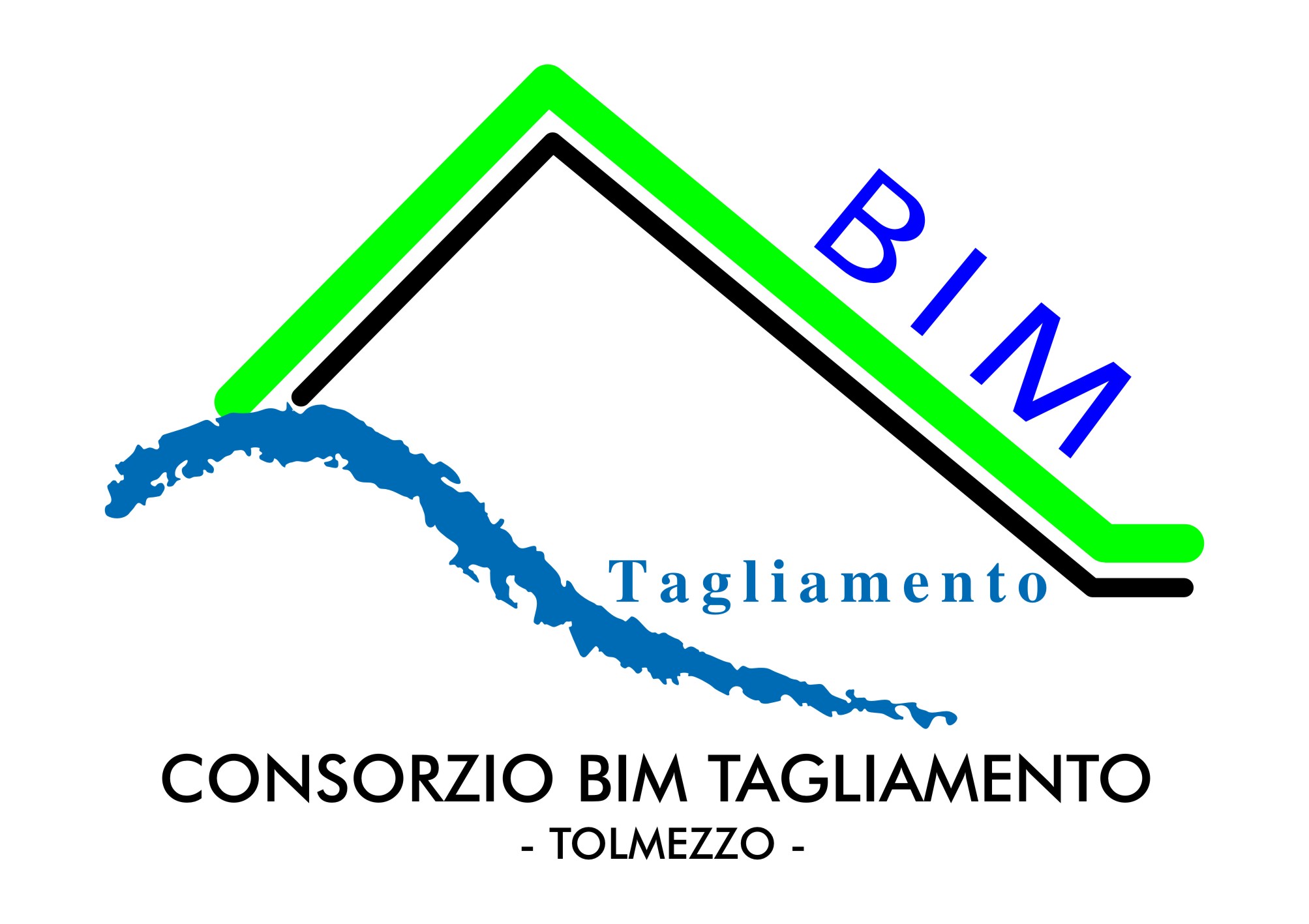 logo BIM Tolmezzo.jpg