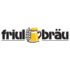 Logo FRIULBRAU SRL (002).jpg