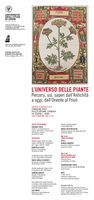 L’UNIVERSO DELLE PIANTE - Percorsi, usi, saperi dall’Antichità a oggi, dall’Oriente al Friuli - 30/05/2024