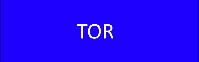 Banner TOR blu.jpg