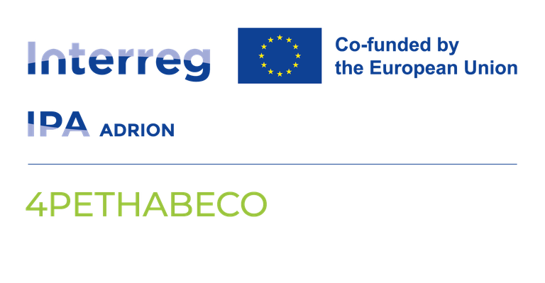 LOGO 4PETHABECO.png