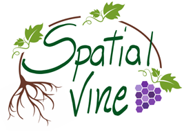Logo spatial vine.png
