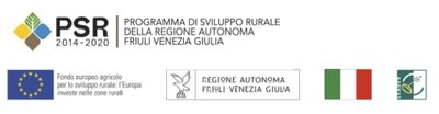 edit PSR - Innovazione tecnicoagronomica in viticoltura ed enologia biologica - INTAVIEBIO - seconda fase