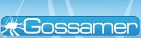 edit FP7 - GOSSAMER -Gigascale oriented solid state flash memory for Europe.