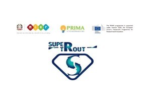 edit PRIMA - SUPERTROUT - Improving SUstainability and PERformance of aquaculture farming system: breeding for lactococcosis resistance in rainbow TROUT.