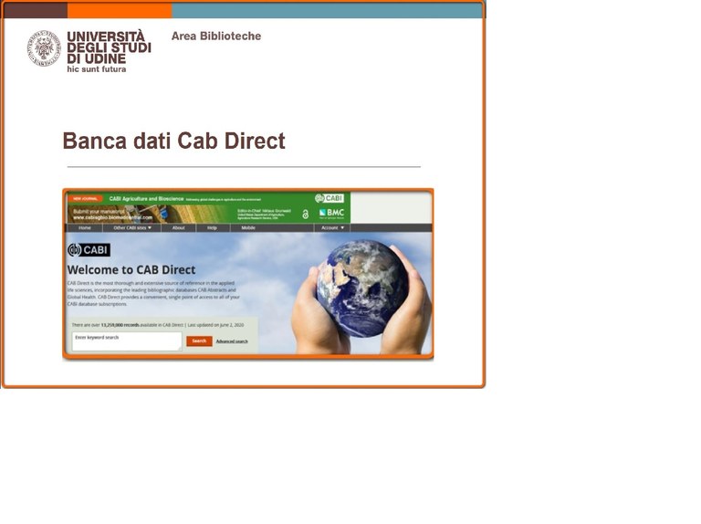 Cab Direct web.jpeg